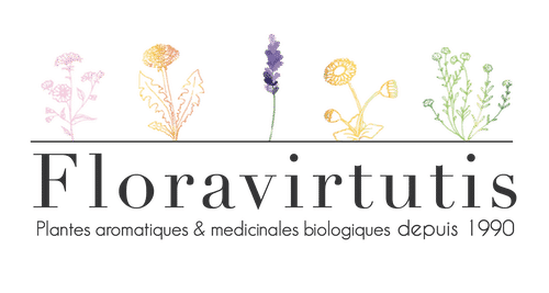 logo main